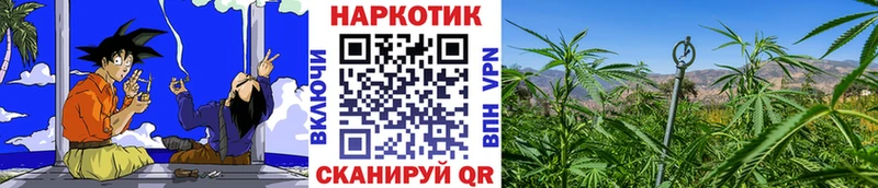 Где продают наркотики Конаково ГАШ  КОКАИН  Меф  Марихуана 